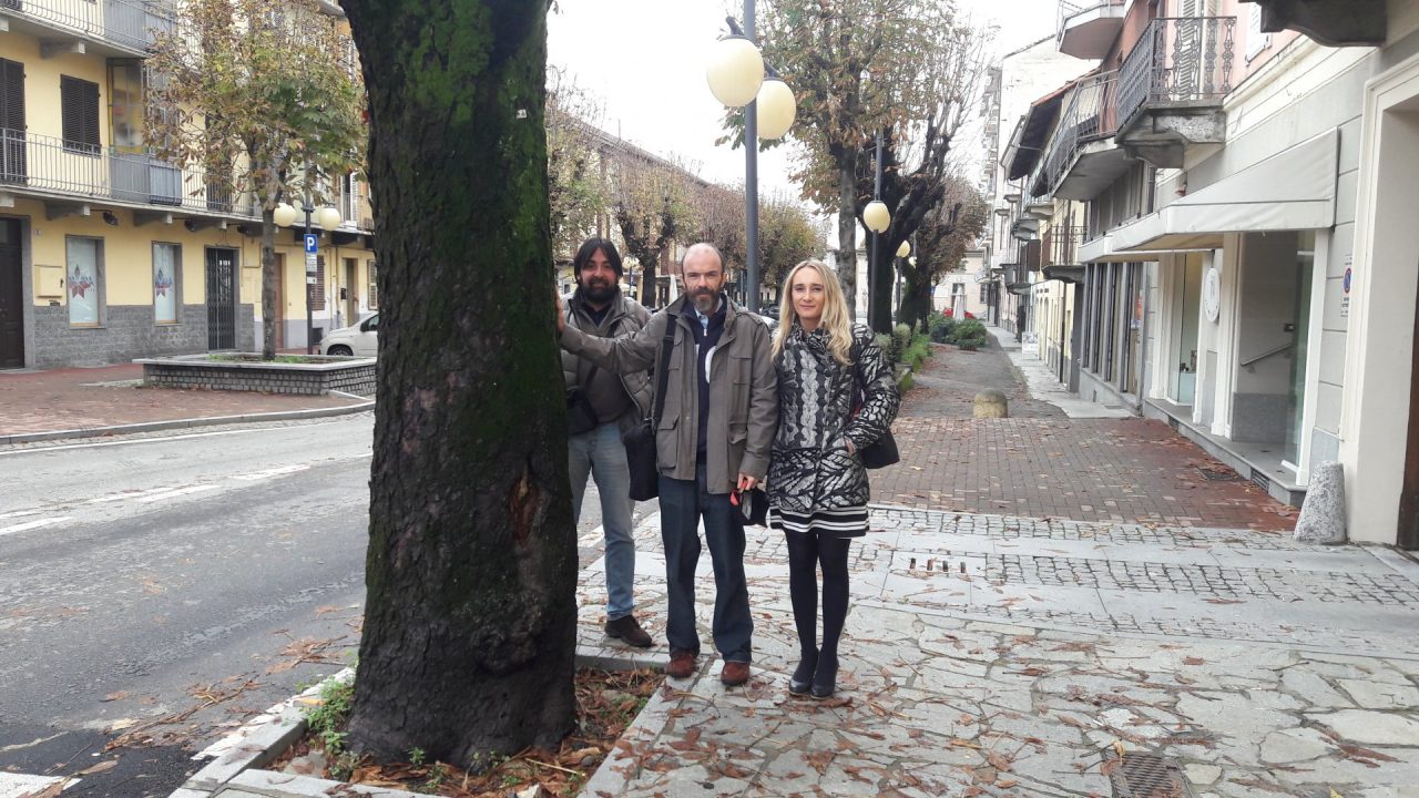 Taglio alberi a Rivarolo, avviata anche una raccolta firme