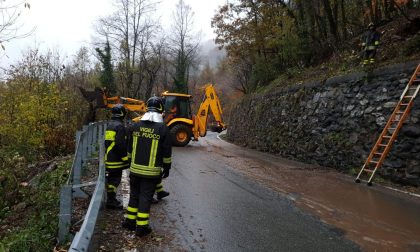 Strada provinciale per Viù bloccata a causa di alberi pericolanti