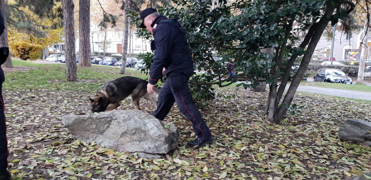 Controlli a tappeto dei carabinieri: fermati due corrieri con 7kg di marijuana | FOTO