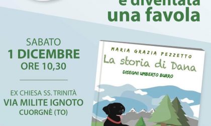 "La storia di Dana", la favola della cagnolina sopravvissuta