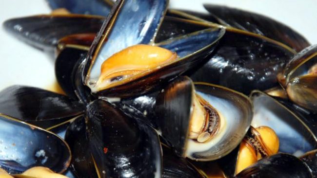 Richiamo di cozze: Vibrione patogeno, le precisazioni dell’azienda produttrice