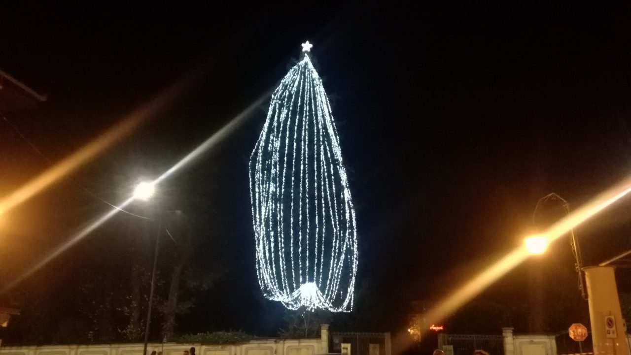 Albero più alto d’Europa acceso a Rivara oggi pomeriggio