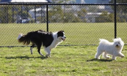 Nole: si inaugura l'area cani