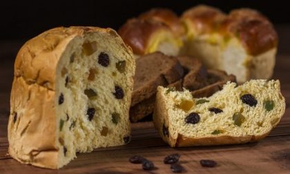 Panettoni e cioccolato, vendita in aumento nel periodo natalizio