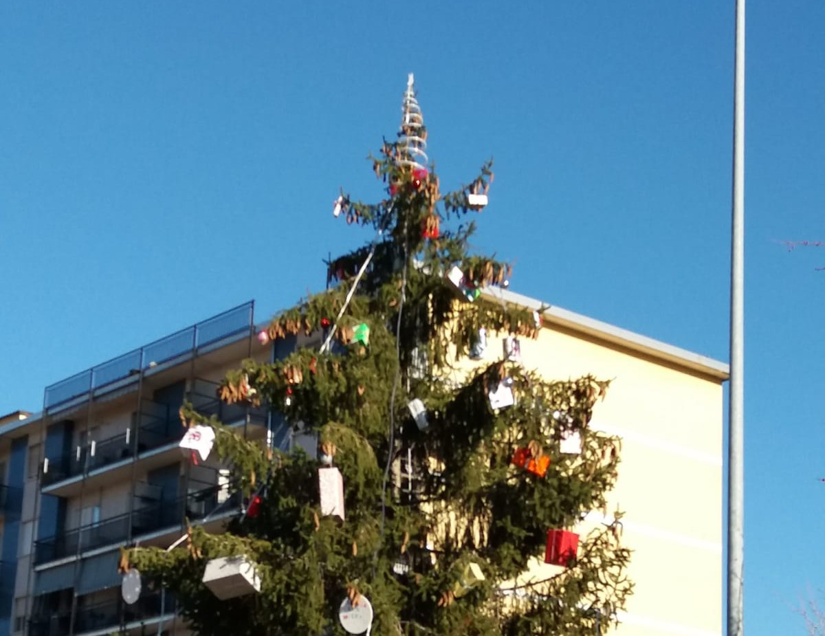 Illuminato l’abete di Mappano