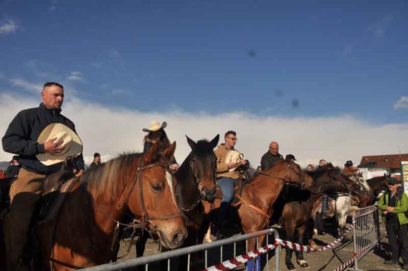 Festa del Ringraziamento si celebra anche a San Francesco