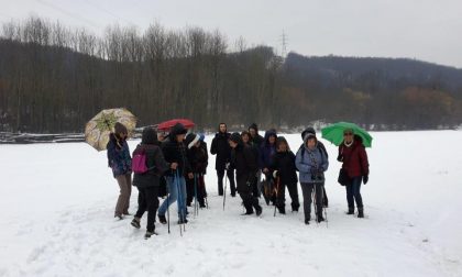 Camminare fa bene un successo i gruppi in Valchiusella