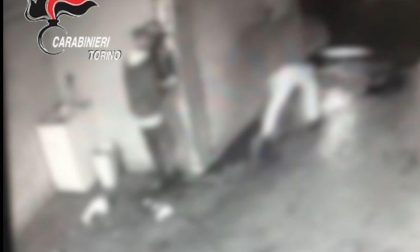 Giovani bulli annoiati devastano paese, beccati dai carabinieri | FOTO e VIDEO