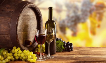 Progetti di promozione dei vini piemontesi, dalla Regione arrivano fondi