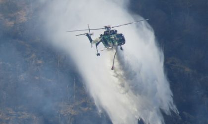 Incendi boschivi: cento volontari in azione