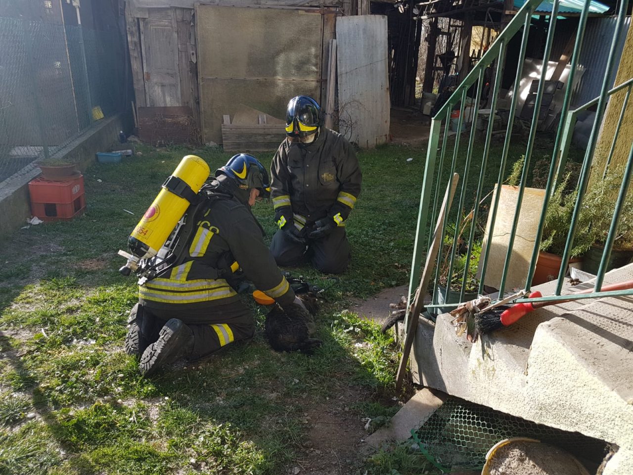 Incendio in alloggio a Germagnano: gatto salvato dai vigili del fuoco
