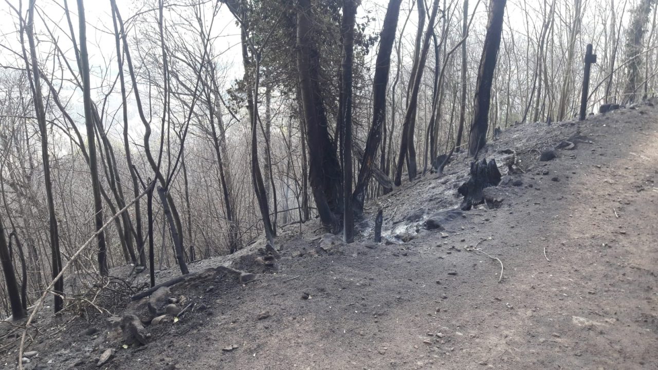 Brucia la terra sopra Belmonte… un pezzo di cuore se ne va | FOTO e VIDEO