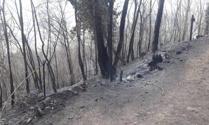 Brucia la terra sopra Belmonte... un pezzo di cuore se ne va | FOTO e VIDEO