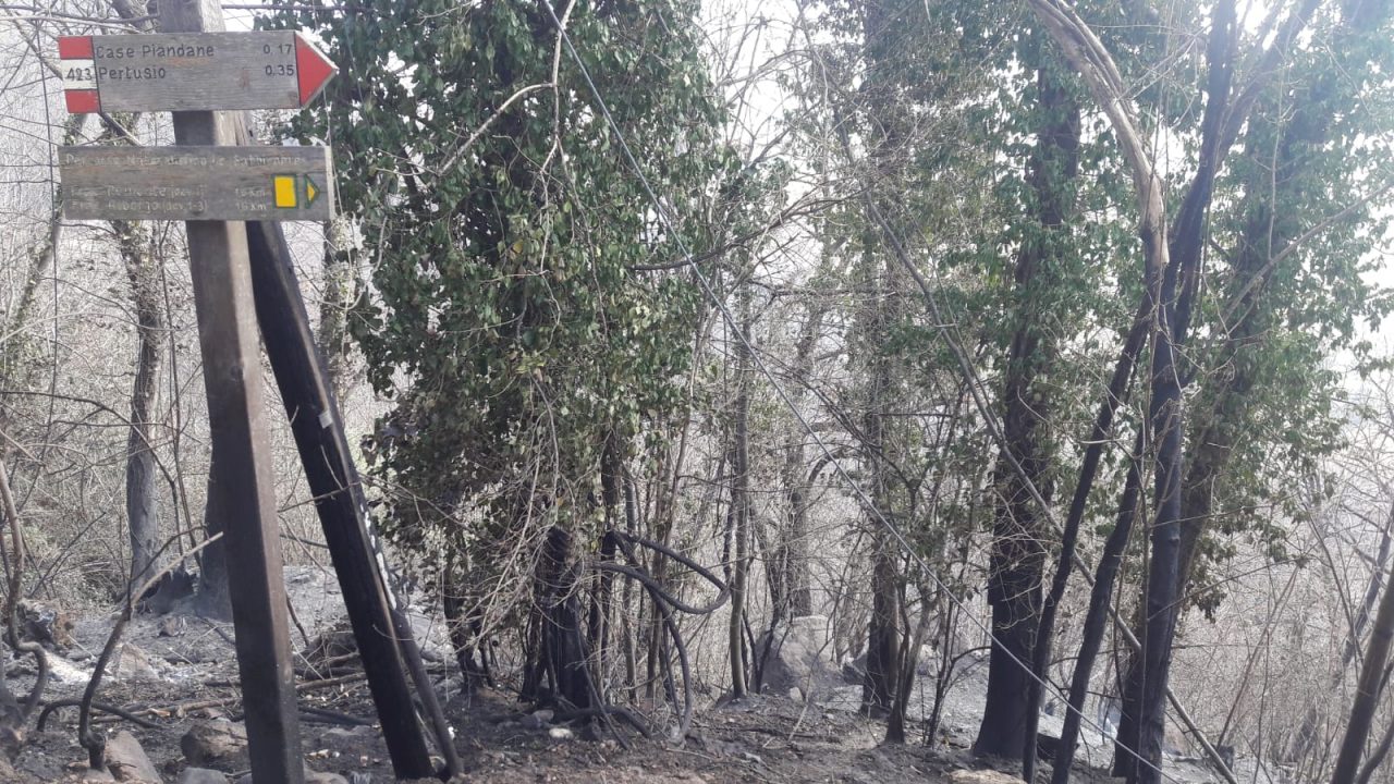 Brucia la terra sopra Belmonte