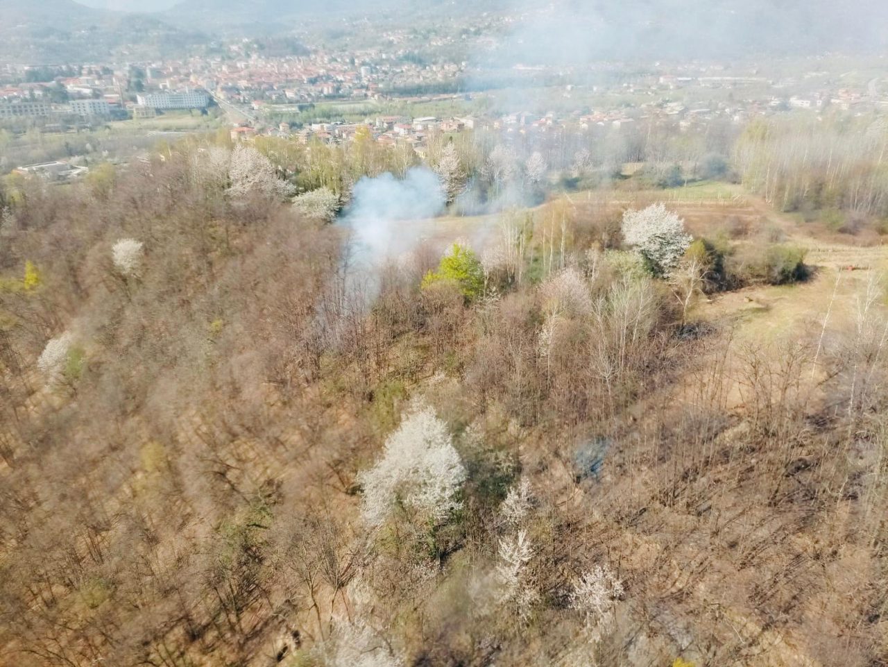 Incendio boschivo a Priacco vigili del fuoco al lavoro | FOTO