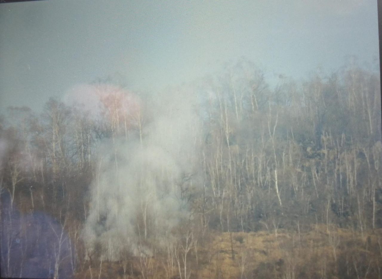 Nuovo incendio boschivo