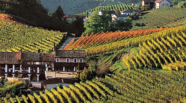 Danimarca e Norvegia, due paesi strategici per i vini del Piemonte
