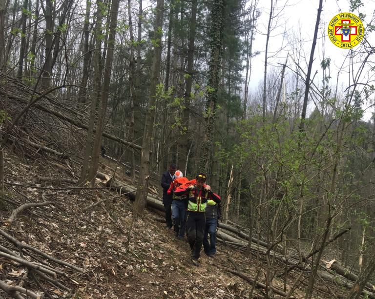 Boscaiolo muore mentre taglia un albero