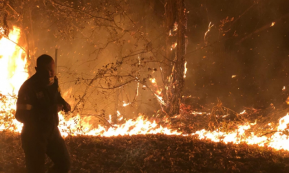 Incendi in Piemonte, a fuoco centinaia di ettari di boschi. Una denuncia