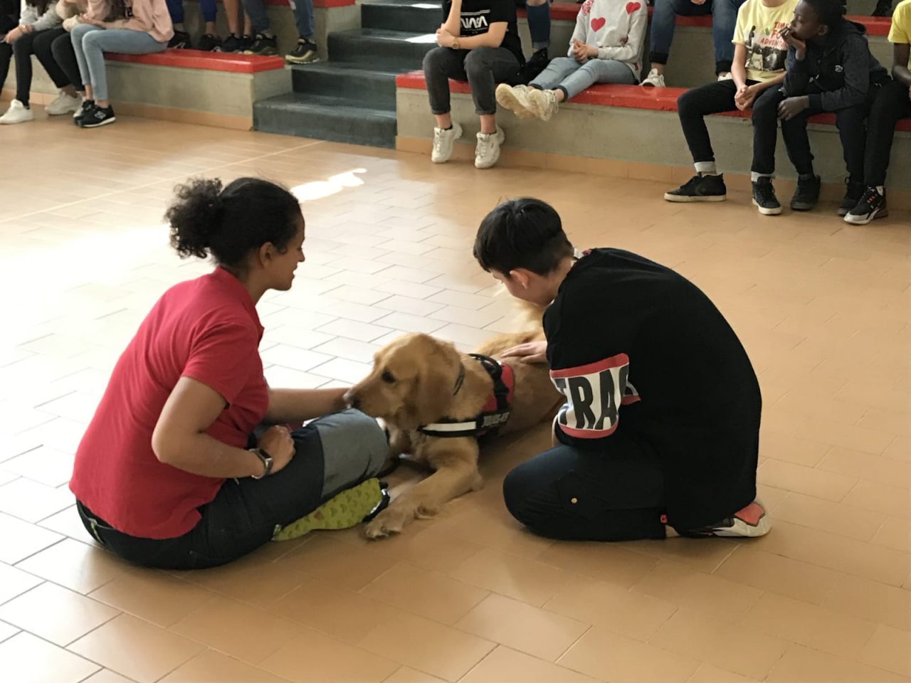 La pet therapy protagonista di una lezione… a scuola