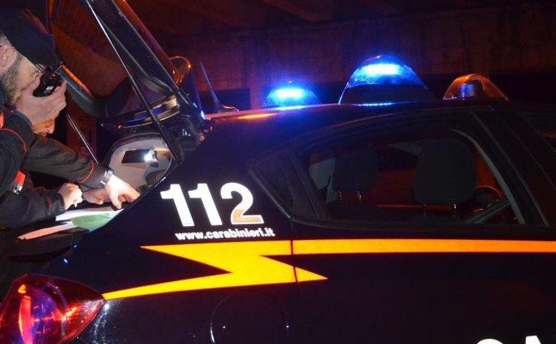 Agricoltore viaggiava con sei pecore in auto: denunciato