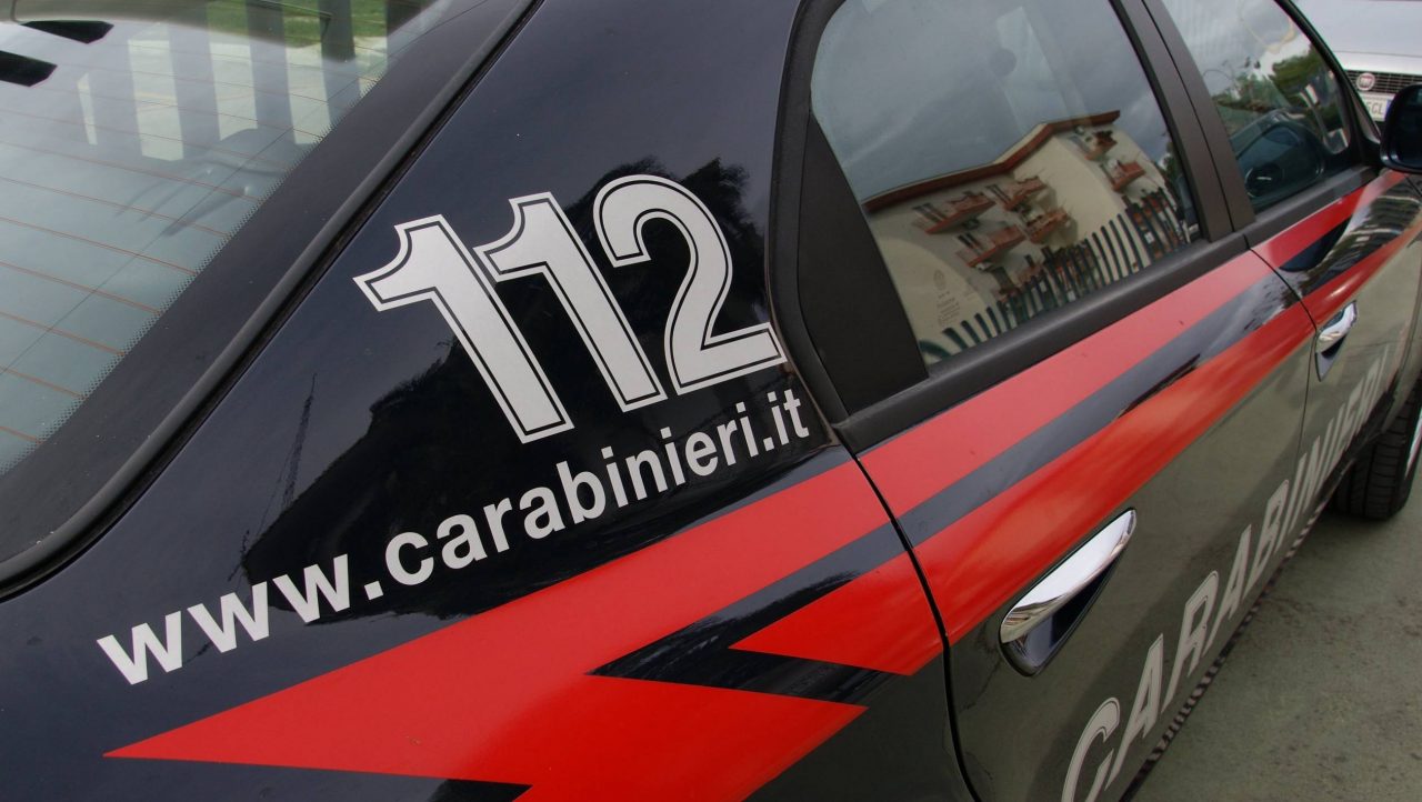 Due persone ferite da un pitbull e un rottweiler