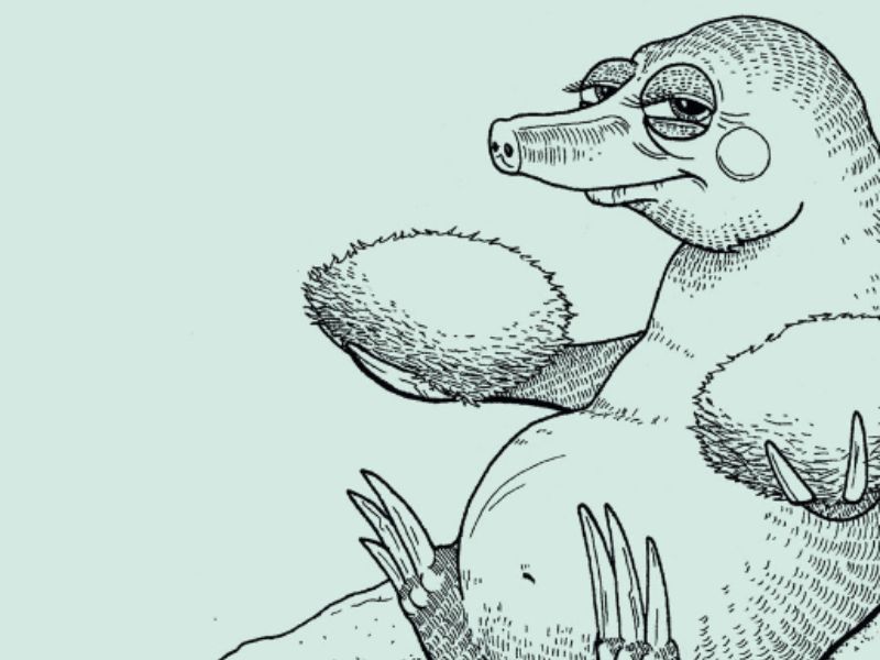 Quegli animali inimmaginabili: Mostra d’illustrazioni e racconti