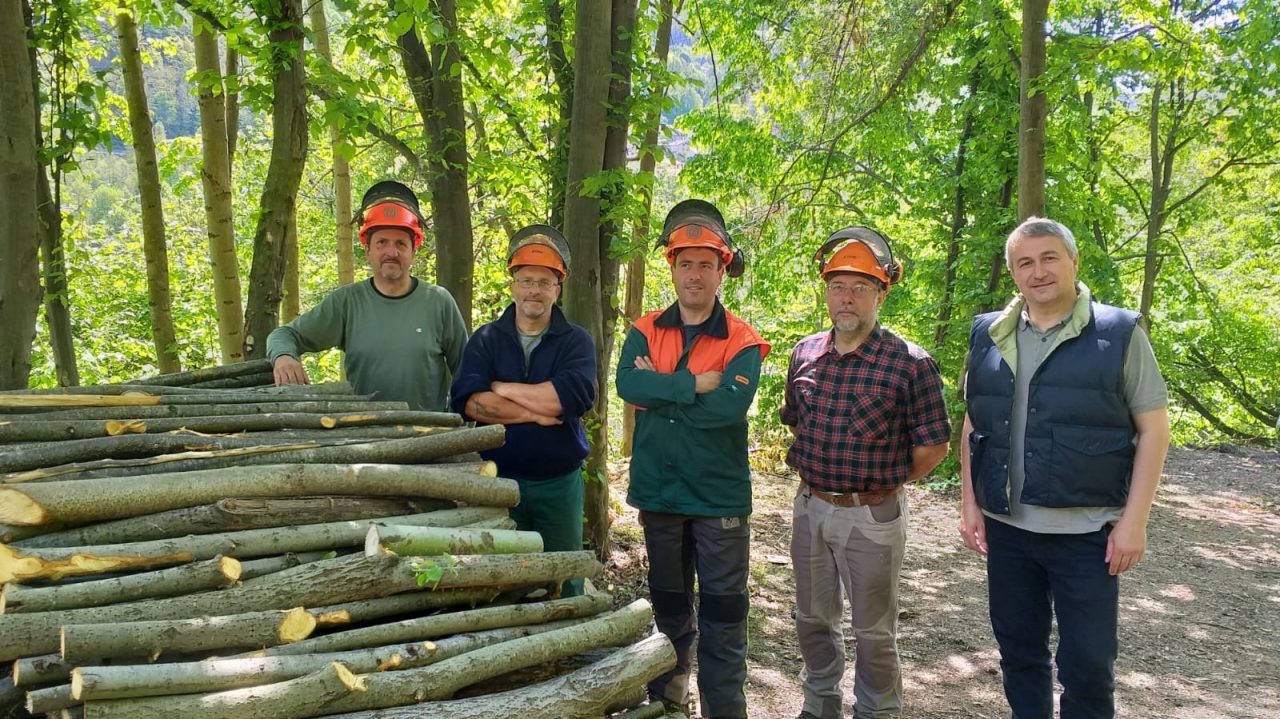 Si tagliano gli alberi pericolanti
