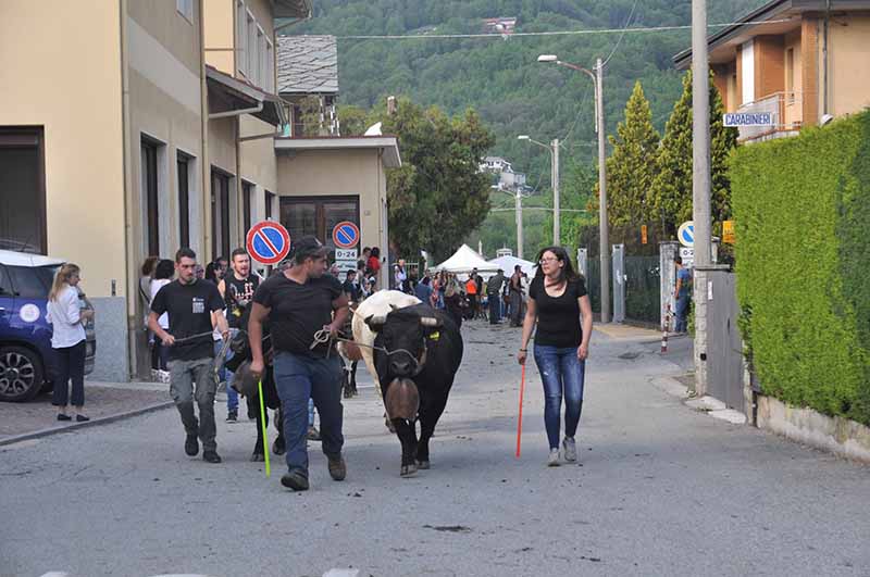 Domenica speciale il 5 maggio con l’Agrifest 2019