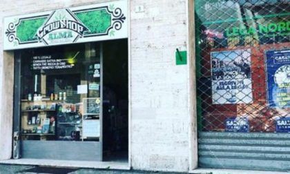 “Chiudete i cannabis shop piemontesi”: l’affondo di Fratelli d’Italia