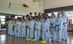 Grande finale di stagione per il Taekwondo Canavese