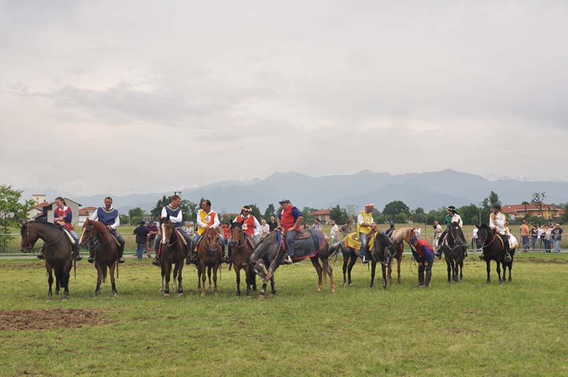 Festa del Cavallo: appuntamenti