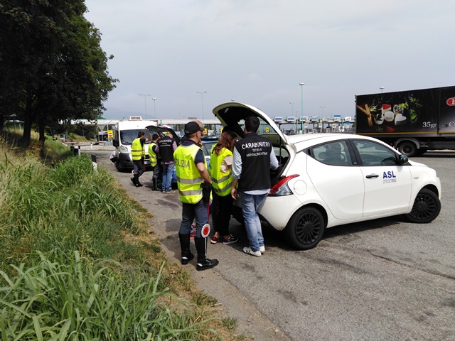 Surgelati al caldo denunciato trasportatore