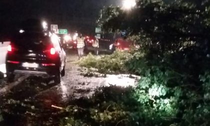 Tromba d'aria su Caselle, Borgaro Torinese e Mappano: ingenti danni | VIDEO