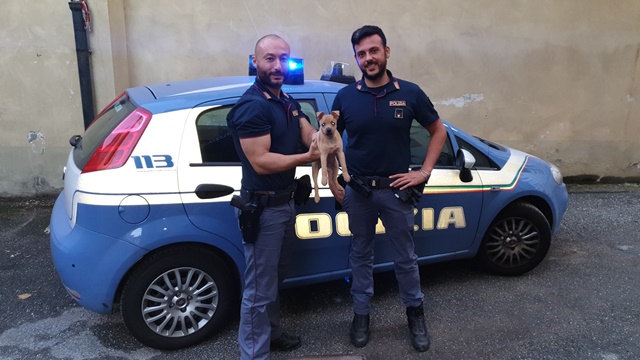 Cucciolo ritrovato dalla Polizia: diventa mascotte del Commissariato