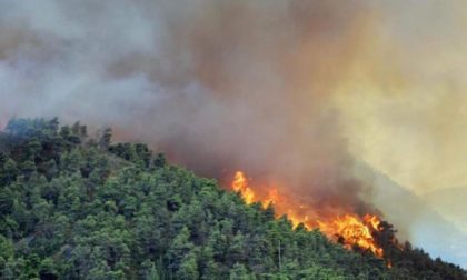 Regione Piemonte in aiuto alla Sardegna nella lotta gli incendi