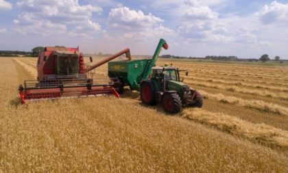 In arrivo nuovi fondi per oltre 14mila aziende agricole piemontesi