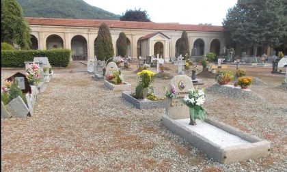 Furti di fiori al cimitero di Cuorgnè, ladri senza rispetto in azione