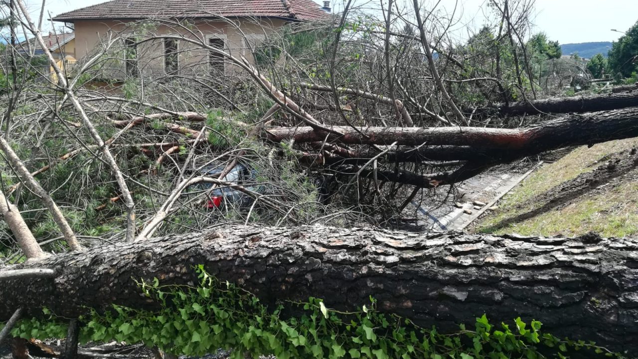 Disastri del maltempo, la Regione chiede lo stato di calamità | FOTO