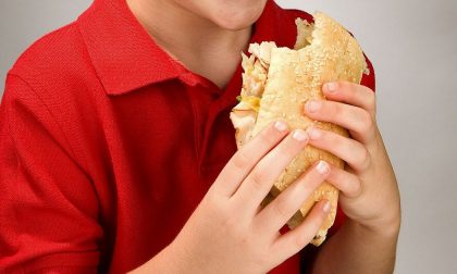 Scuola: La Cassazione dice "no" al panino portato da casa a mensa