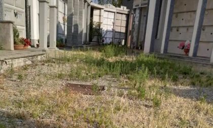 Incuria al cimitero di San Benigno: l'amministrazione corre ai ripari