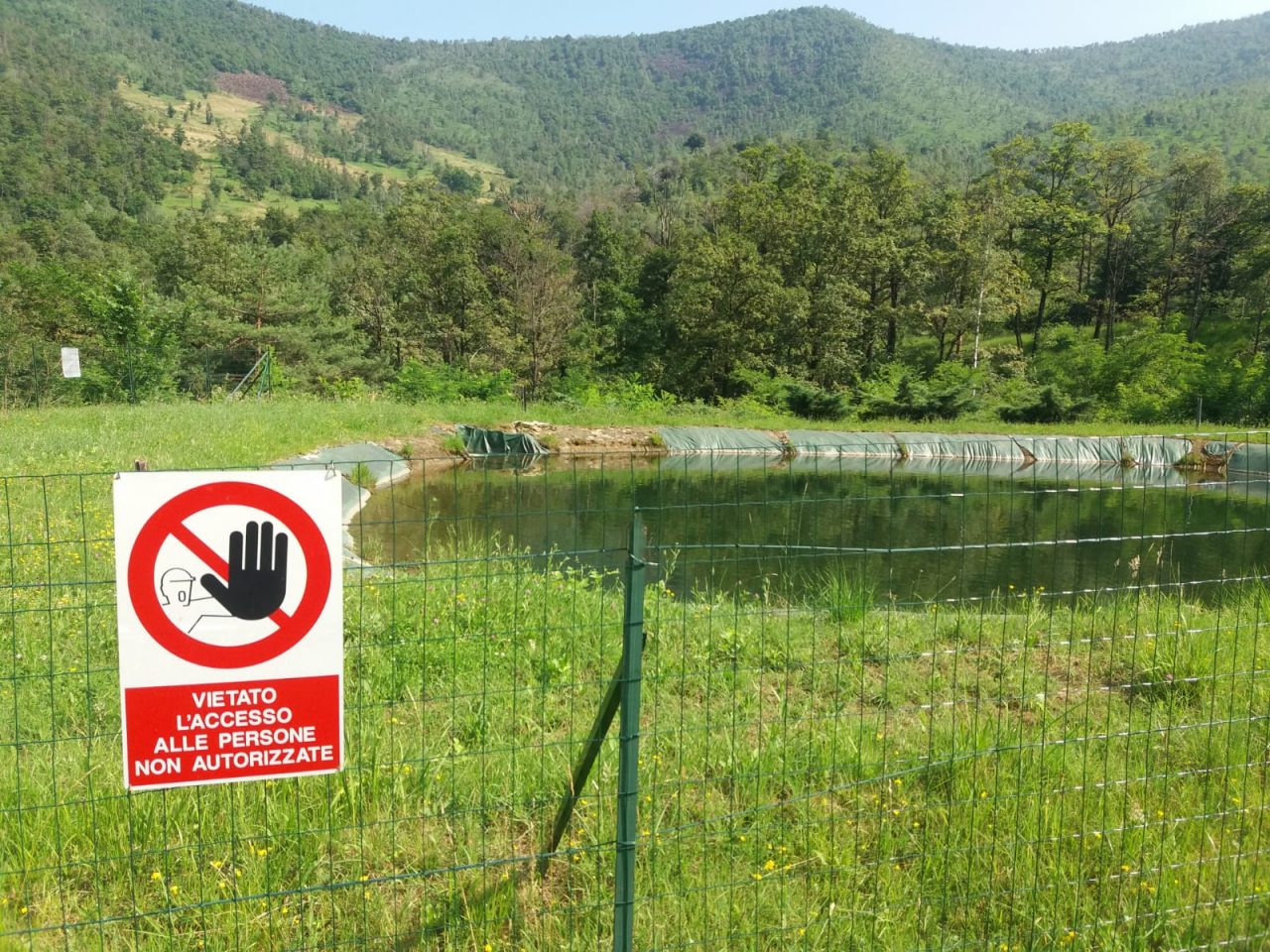 Guardie ecologiche per il laghetto