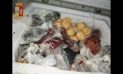 Alimenti mal conservati in un ristorante, maxi multa da 20mila euro
