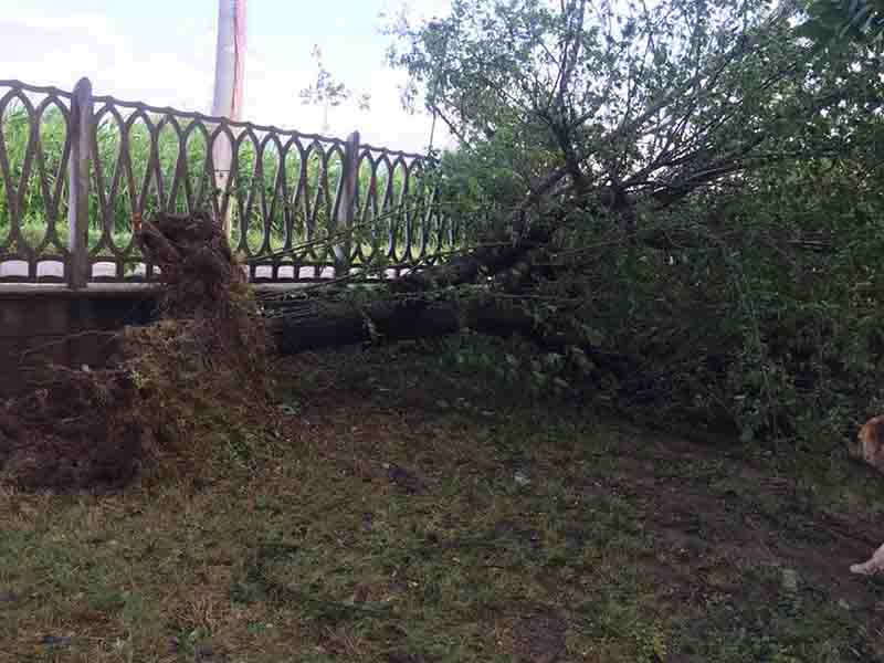 Nubifragio: i danni subiti