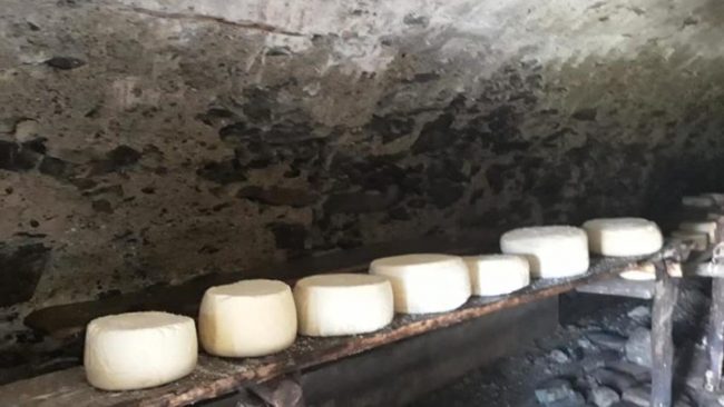 Ladro di formaggi filmato in alpeggio: “Hai tempo fino a lunedì, poi vado a denunciarti”