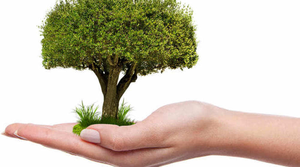 Festa dell’albero domani a Ivrea con lo slogan #ChangeClimateChange