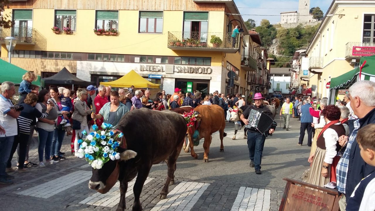 La tradizione della transumanza a Pont | FOTO