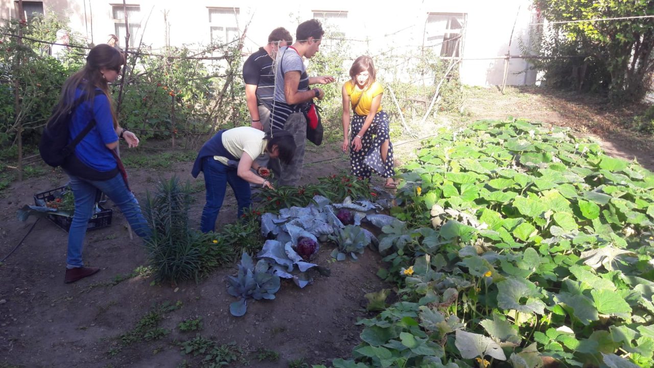 L’orto giardino sociale di Cuorgnè ha dato i suoi frutti | FOTO e VIDEO