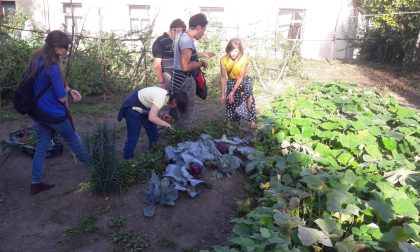 L'orto giardino sociale di Cuorgnè ha dato i suoi frutti | FOTO e VIDEO