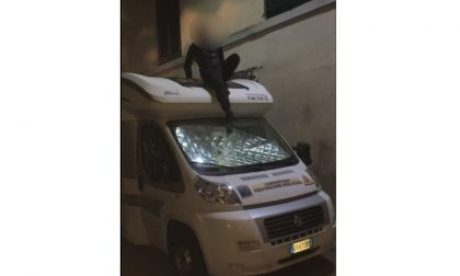 Identificati i vandali che hanno danneggiato il Cardiovan, "Una prova di coraggio" | VIDEO
